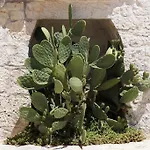 Trulli Diffuso 3* Alberobello