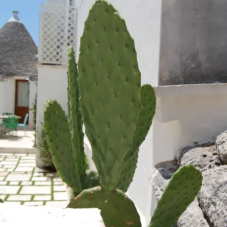 Trulli Diffuso 3* Alberobello