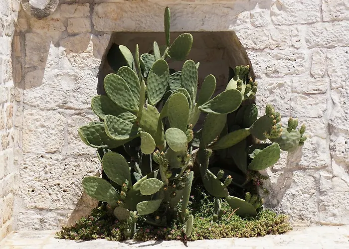 Trulli Diffuso 3* Alberobello