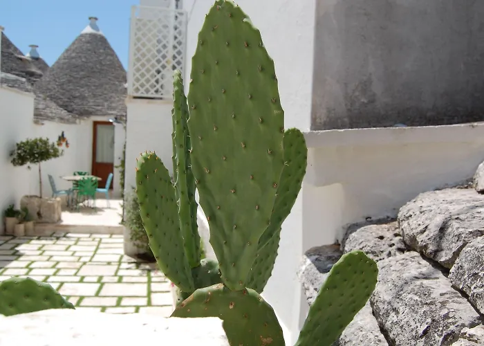 Trulli Diffuso 3* אלברובלו